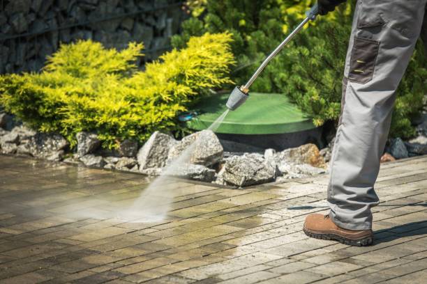 Animal Enclosure Cleaning in Crooked Lake Park, FL
